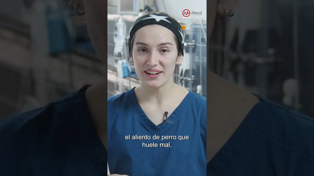 Reel · Contenido Social